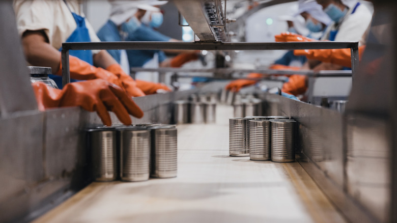 Gloved workers in a fish canning facility.