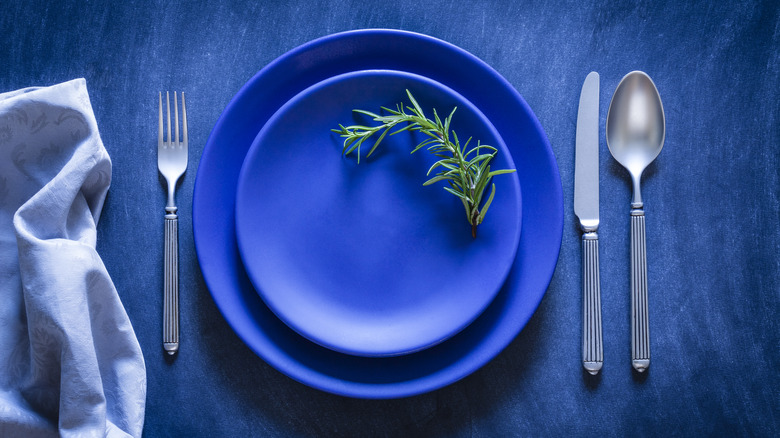 Blue dinner plate