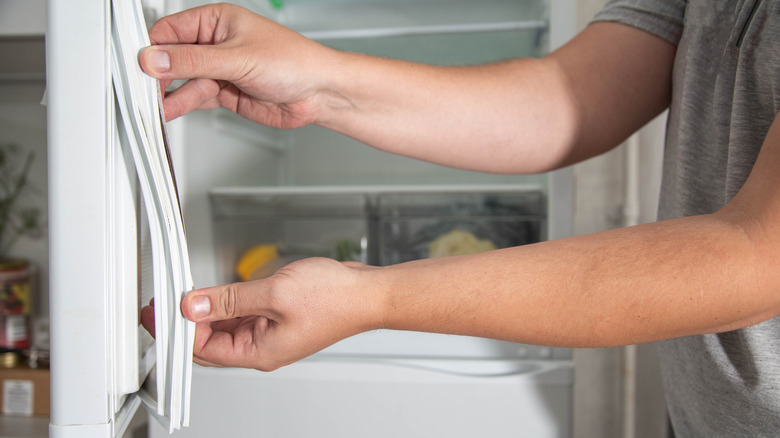 replacing the rubber seal on freezer door