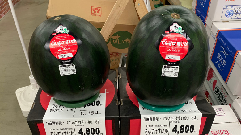 Japanese watermelons
