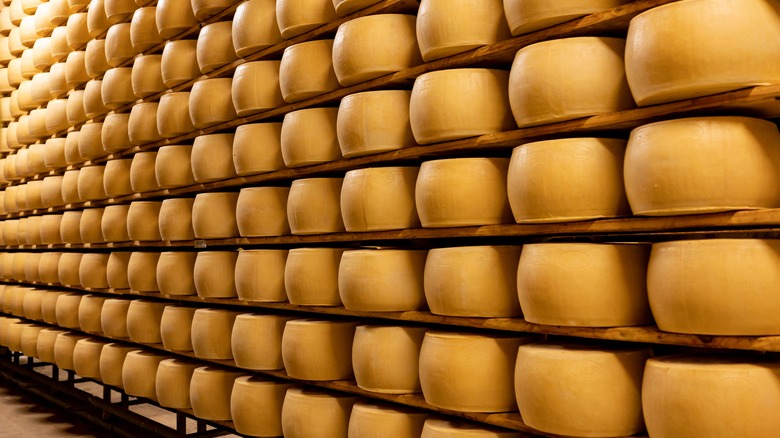 Shelves of cheese rounds 