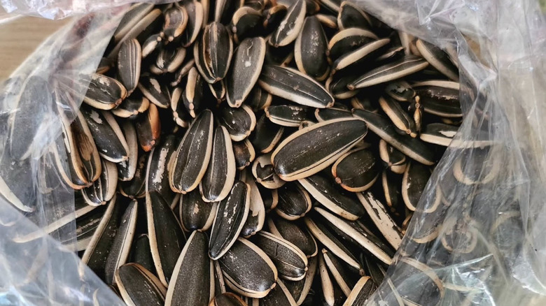 Close-up of a plastic bag of sunflower seeds with the shells