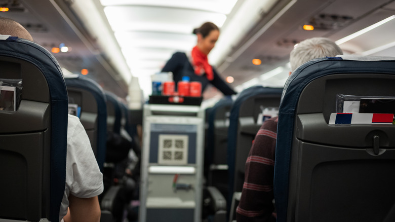 Flight attendant serving refreshments on a plane