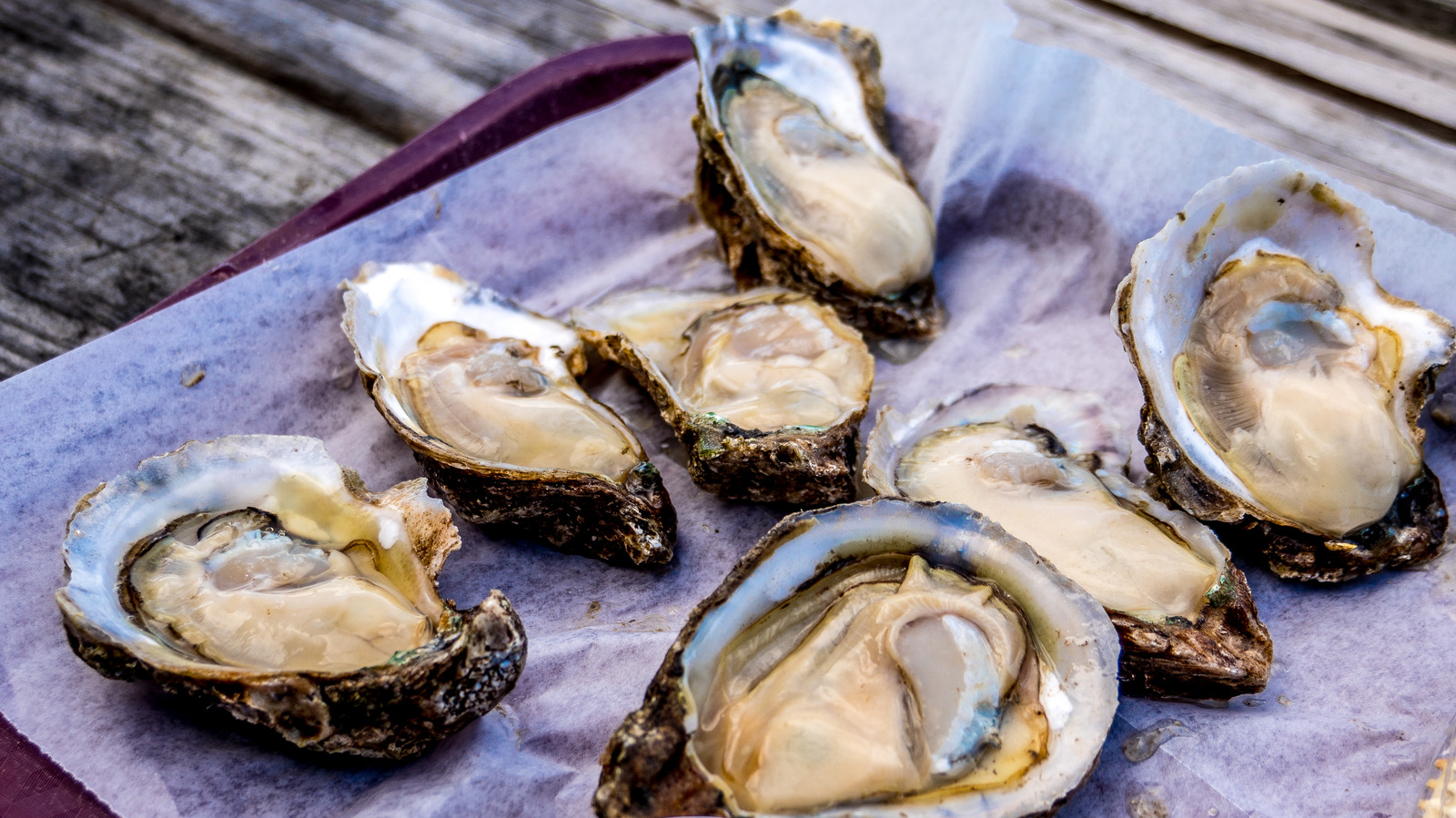 Why Florida Has Stopped Harvesting Apalachicola Oysters Why Florida Has Stopped Harvesting Apalachicola Oysters