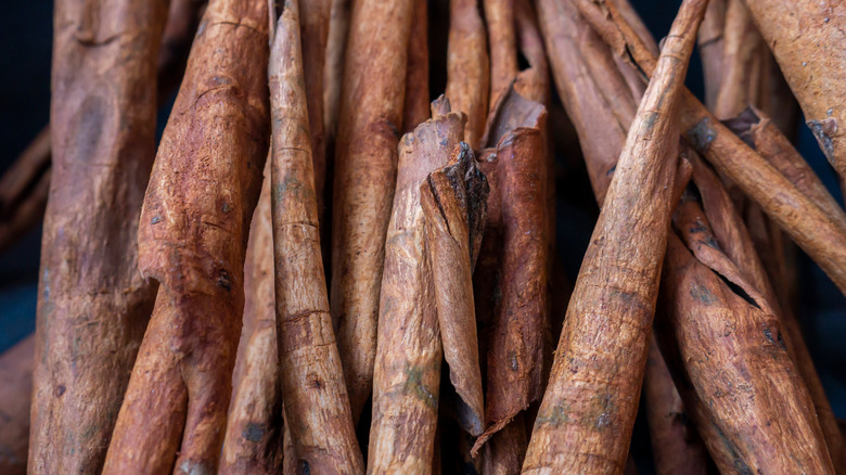 Cinnamon bark being dried out