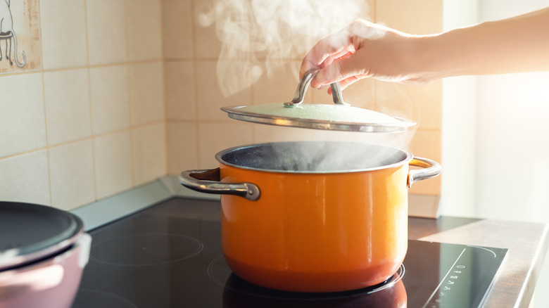orange steaming pot with lid