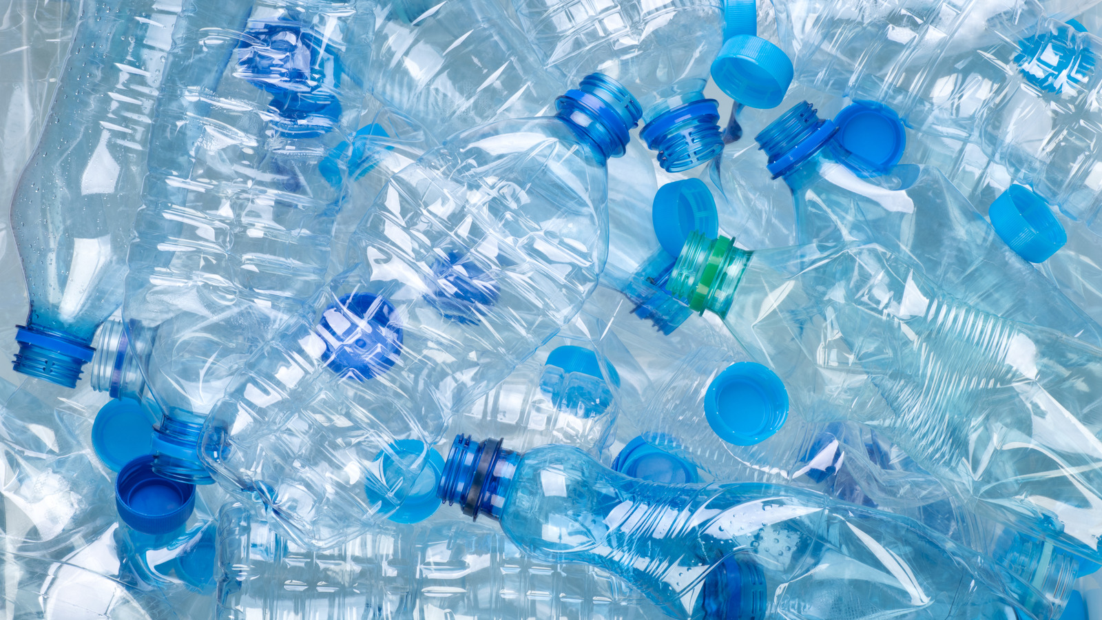 https://www.tastingtable.com/img/gallery/why-its-a-bad-idea-to-reuse-plastic-single-use-water-bottles/l-intro-1655224259.jpg