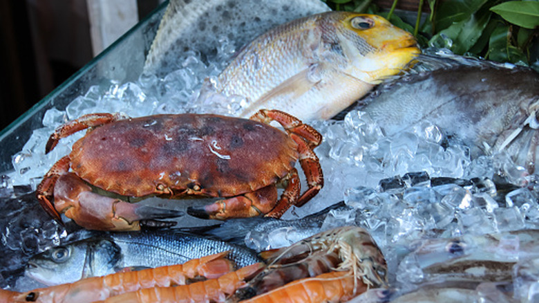 different types of seafood on ice