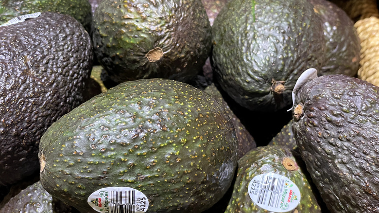 Close up on avocados 