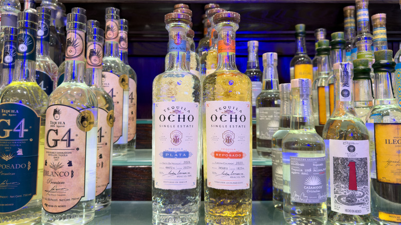 Assorted tequila bottles displayed on bar shelf with premium brands and niche labels.