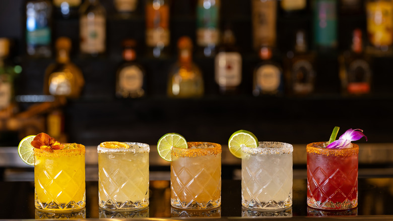 Selection of artisanal cocktails with citrus garnishes and salt rims served in crystal glasses on a dark bar counter.