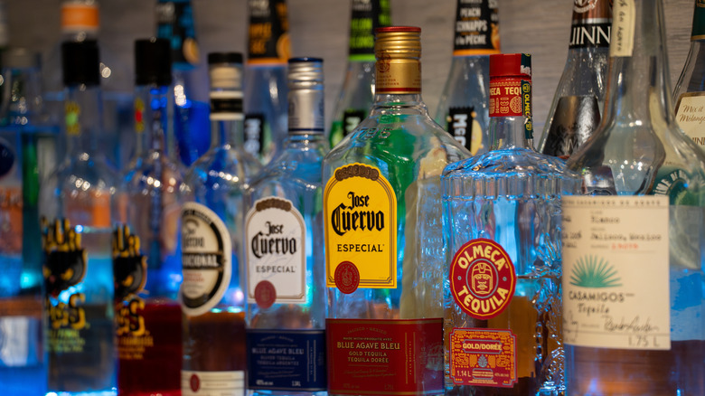 Assorted bottles of various tequila brands on a bar shelf.