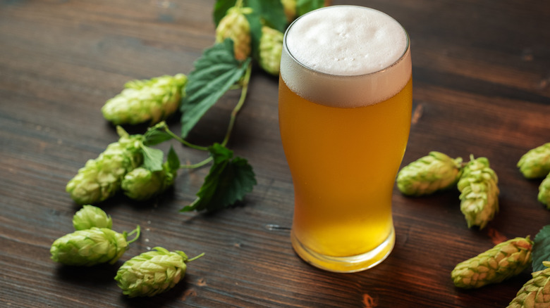 A frosty, slightly hazy beer rests on a table next to some fresh hops.
