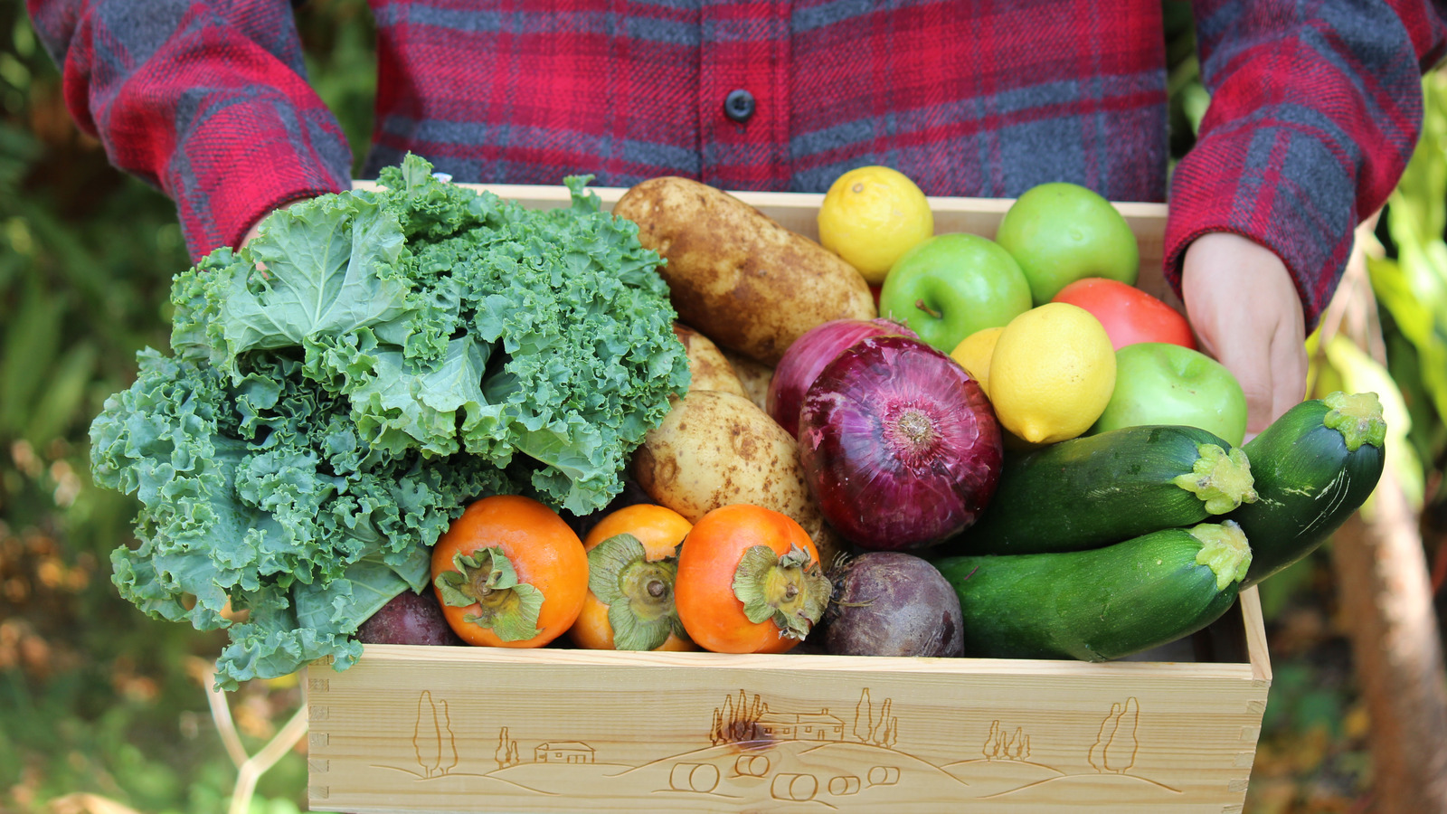 Why More And More People Have Begun Growing Their Own Food