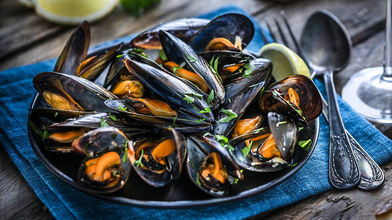 Plate of steamed blue mussels 