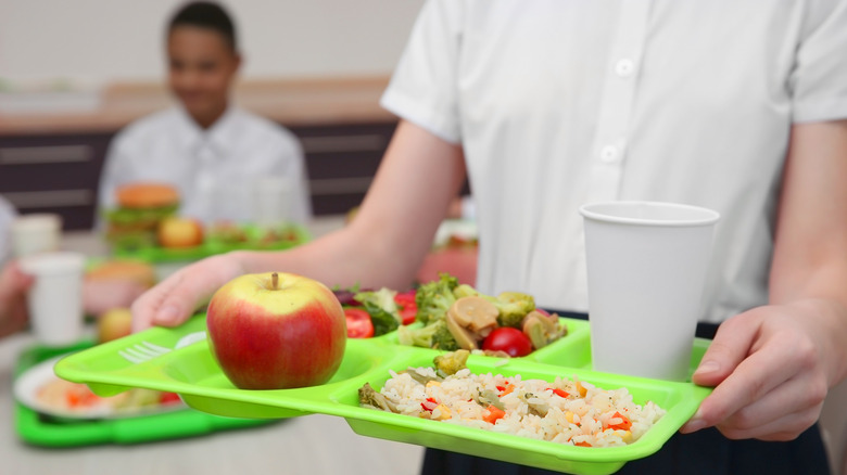 A healthy school lunch tray