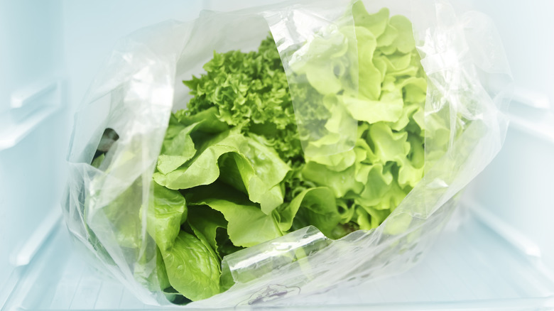 refrigerated lettuce in a bag
