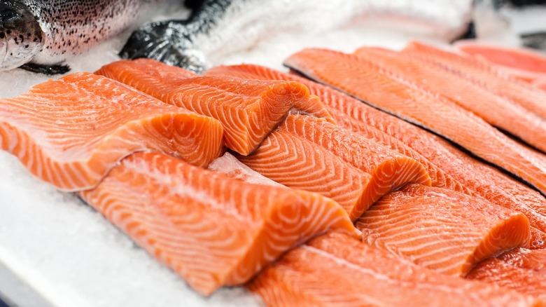 raw salmon filets on ice