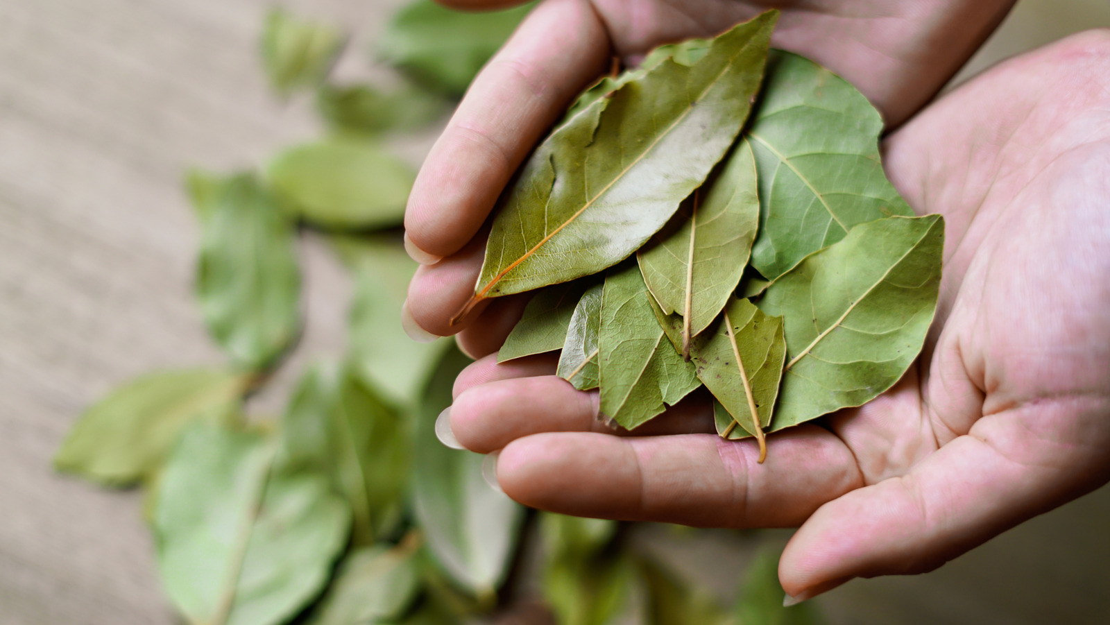 Why People Mix Bay Leaves And Baking Soda - And Whether It Really Works - Tasting Table