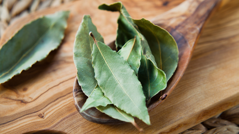 Bay leaves on wooden spoon