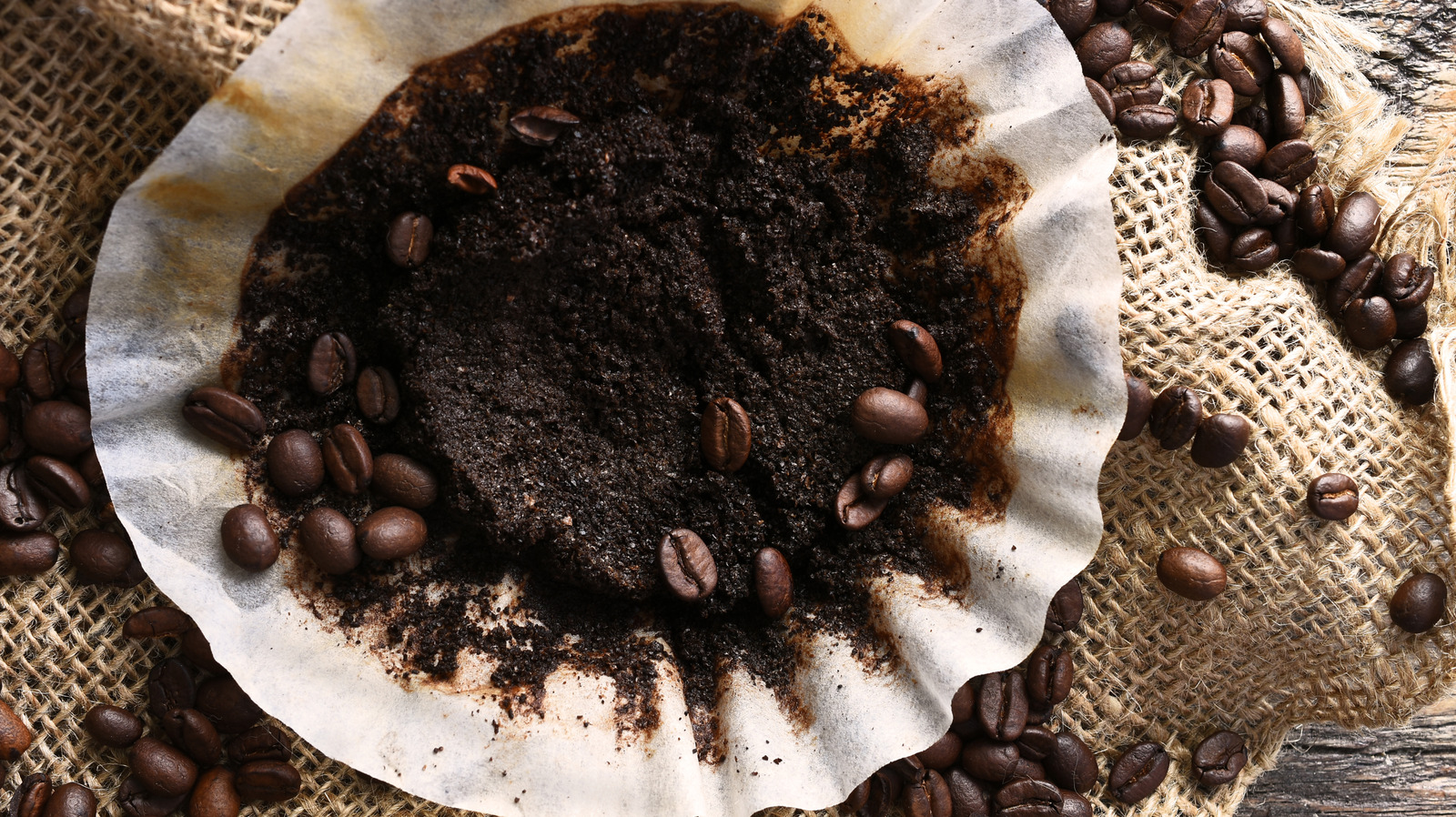 Why Putting Coffee Grounds In Your Freezer Before A Vacation Is So Smart
