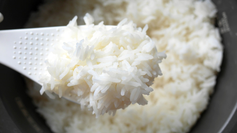 Spoon of rice lifted from rice cooker