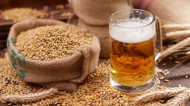 glass of beer and barley