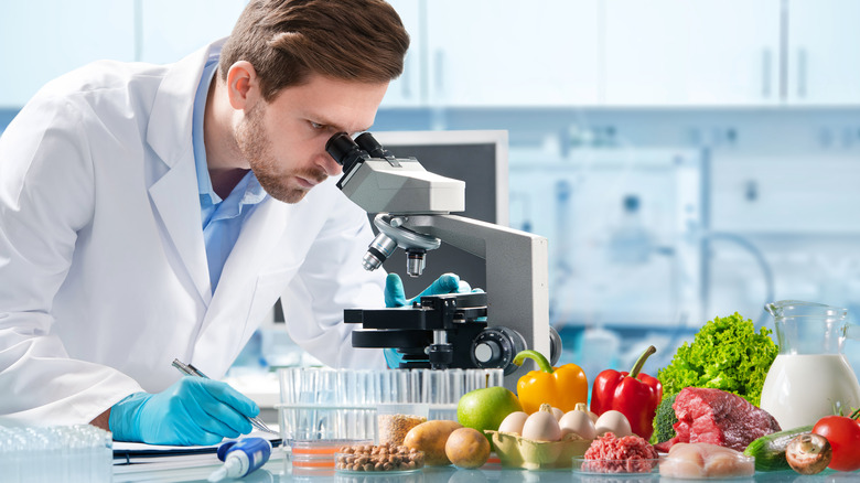 food scientist in laboratory