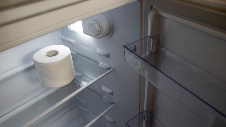 Roll of toilet paper in refrigerator