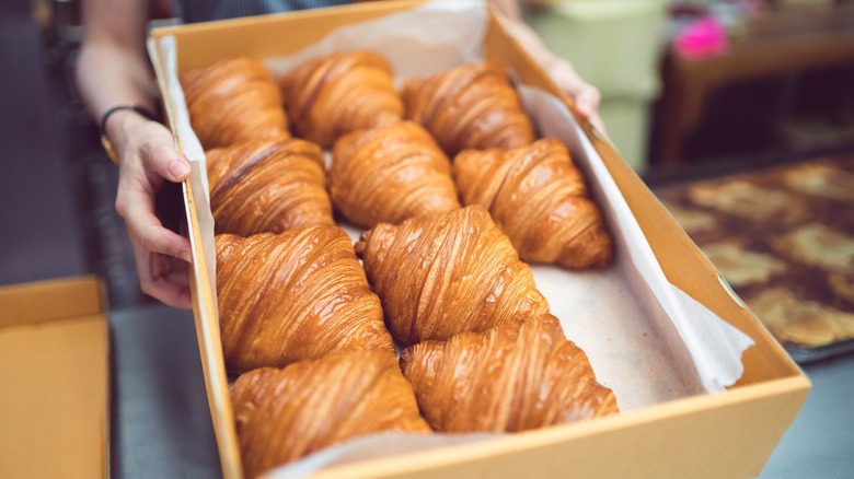 hands holding box of croissants