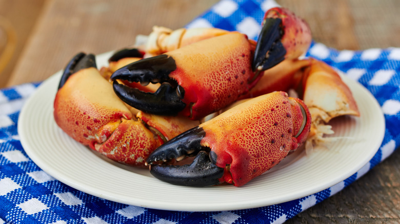 stone crab claws on white plate and blue towel
