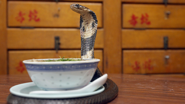 snake soup with cobra