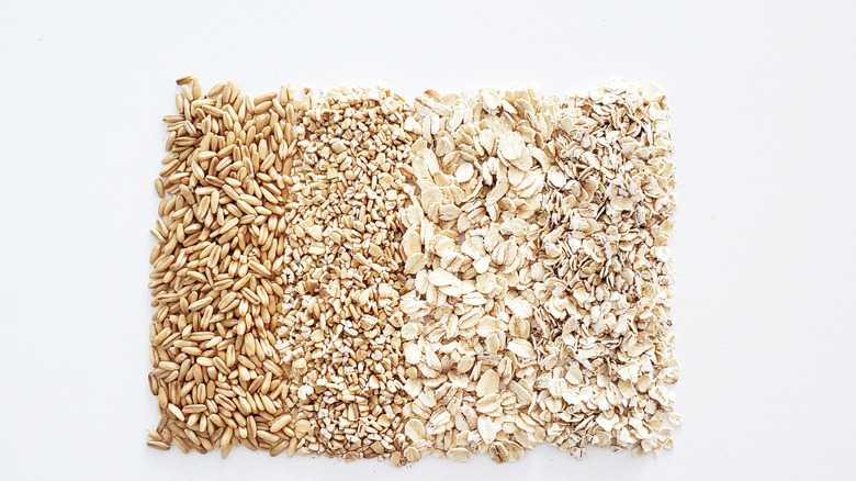 different types of oats on a white background