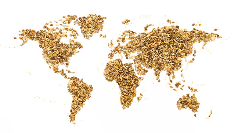 World map constructed in grains
