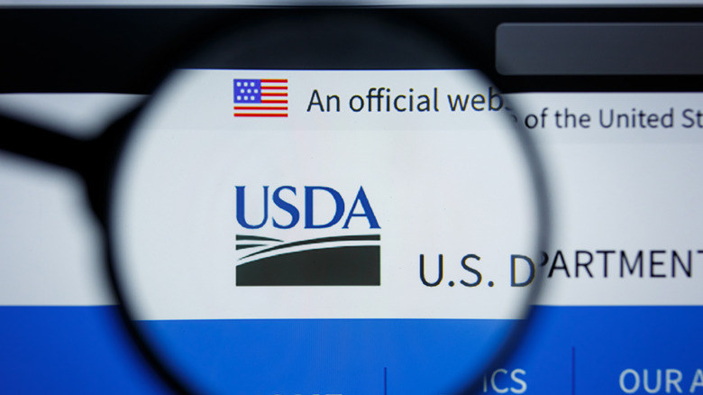 USDA website through a magnifying glass