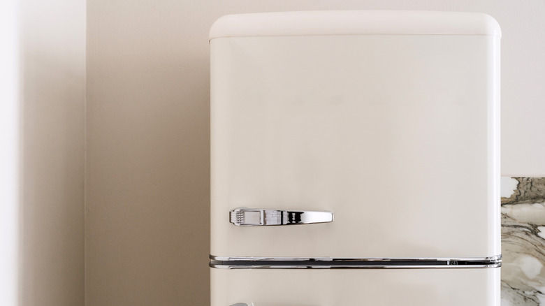 fridge placed at the end of a kitchen counter