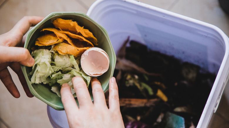 person dumping bowl of organic food waste into a compost bin