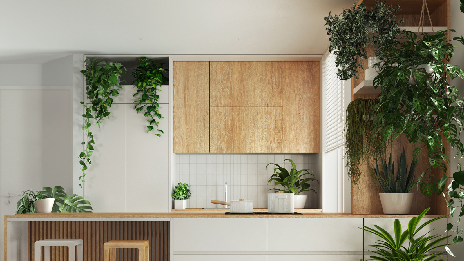 Why This Feng Shui Kitchen Tip Suggests Placing Plants Above Your Cabinets - Tasting Table