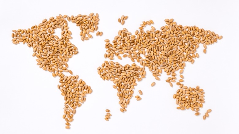 World map made of wheat grains