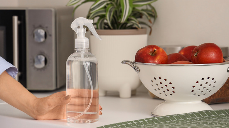 A woman holding a bottle of homemade kitchen cleaner