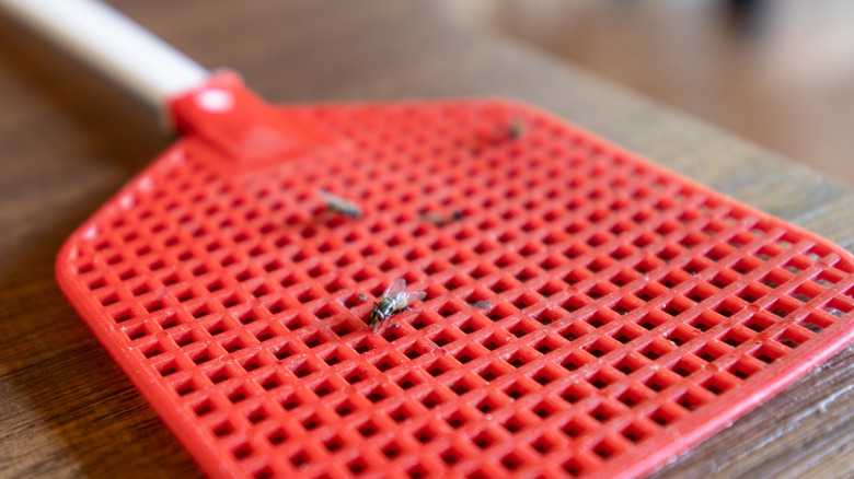 A red fly swatter with flies on it