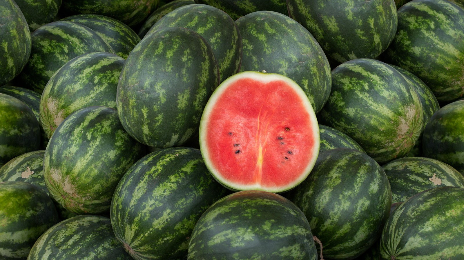 Why Watermelon's Latin Name May Be Incorrect