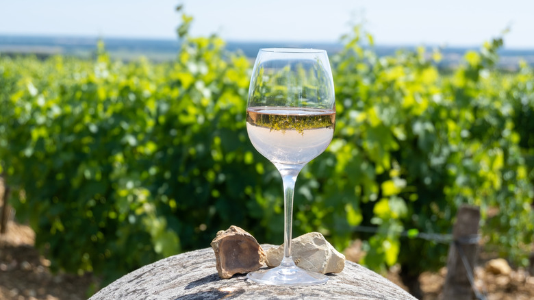white wine glass at vineyard
