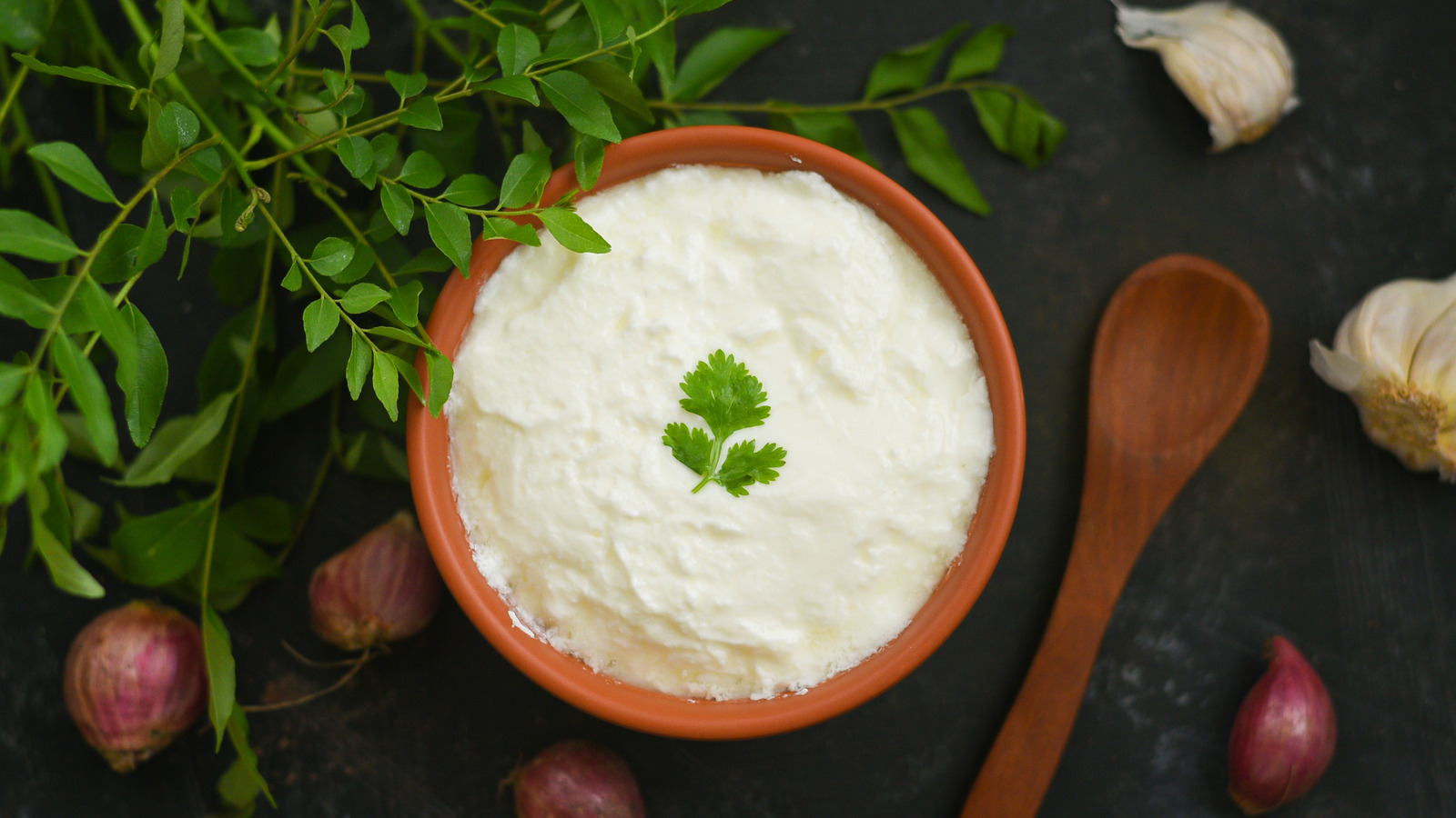 Why You May Be Confused Ordering Curd In India