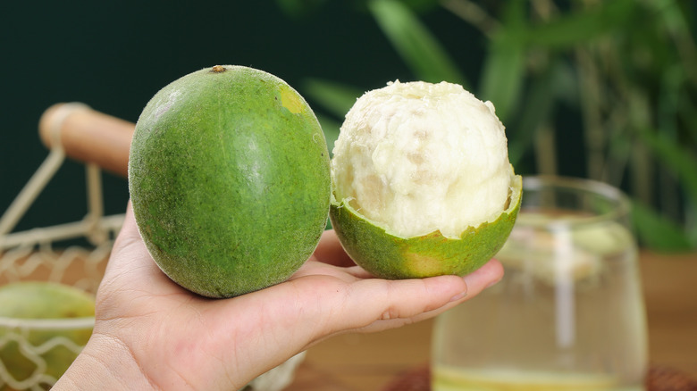 2 fresh monkfruit in a person's hand, 1 whole and one half peeled