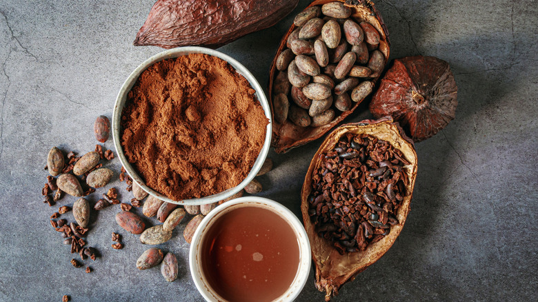 Cocoa pods and cacao in various forms