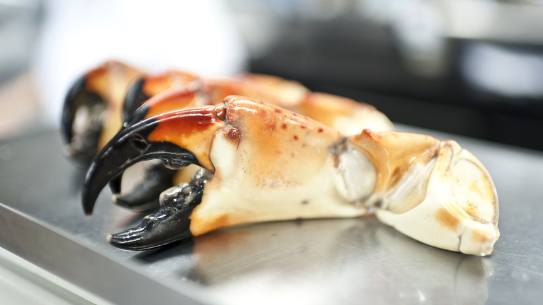 Four stone crab claws on a metal scale.