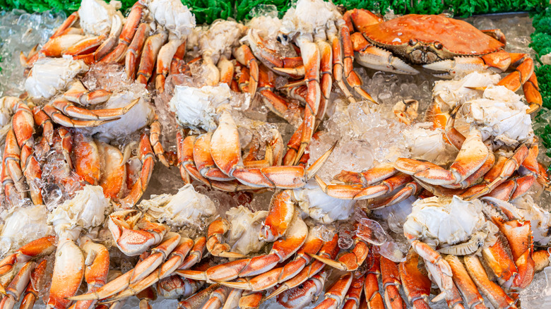 Cooked Dungeness crab on ice in a market.