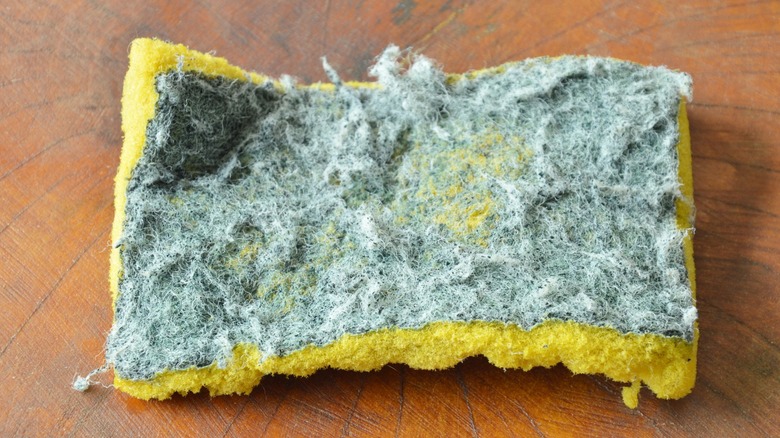 Worn out green and yellow kitchen sponge