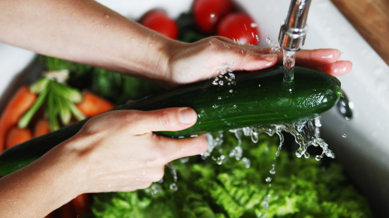 A pair of hands holding a cucumber under running water
